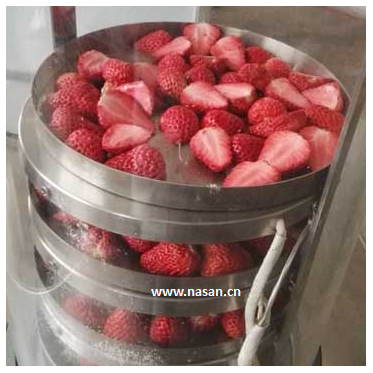 Strawberry dryer